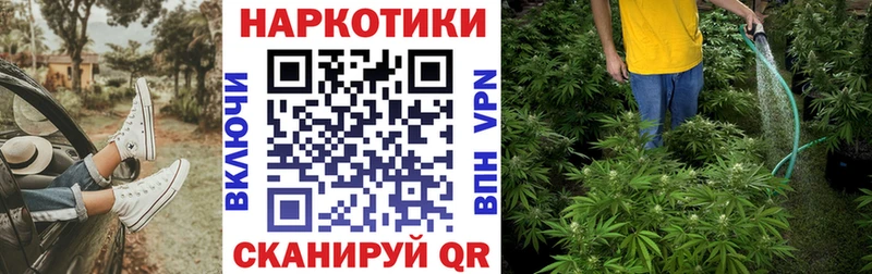 Где продают наркотики Семёнов Cocaine  Метамфетамин  Конопля 