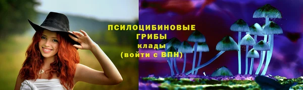 кокс Нея