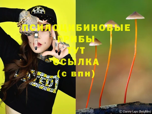 кокс Нея
