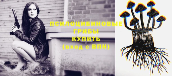 мдпв Болхов