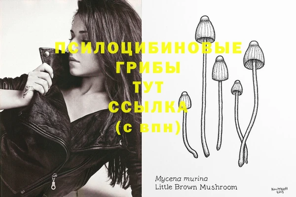 мдпв Нефтекумск