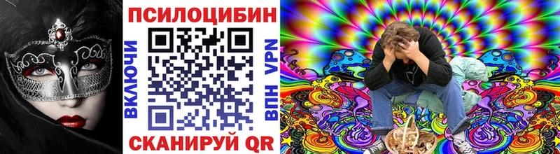блэк спрут   Семёнов  Псилоцибиновые грибы Magic Shrooms 